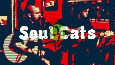 Concierto de Soul Cats en el Café In Situ