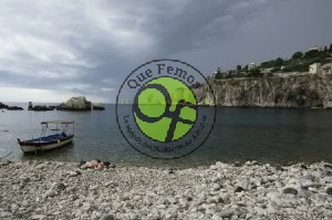 Asociación de Mujeres Marineras de Occidente en Tapia