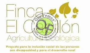 Recolección de arándanos en la finca El Cabillón