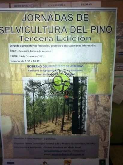 III Jornadas de Selvicultura del Pino en A Veiga/Vegadeo