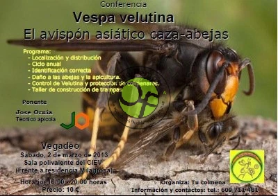 Conferencia sobre la Vespa velutina en A Veiga/Vegadeo