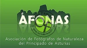 Exposición fotográfica de AFONAS en Luarca