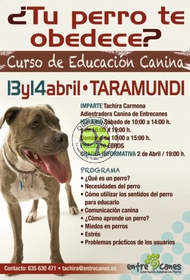 Curso de educación canina en Taramundi
