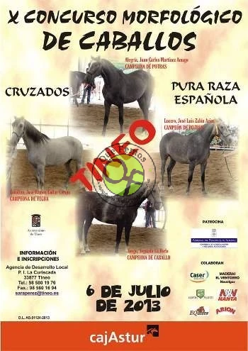 X Concurso Morfológico de Caballos Cruzados y Pura Raza Española