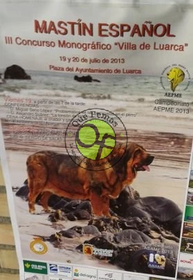 III Concurso Monográfico del Mastín Español Villa de Luarca