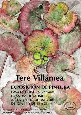 Exposición de Tere Villamea en Grandas
