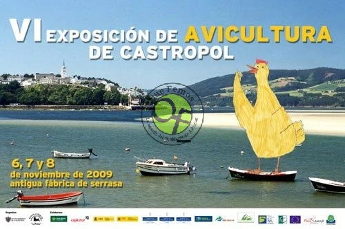 VI Exposición de Avicultura en Castropol