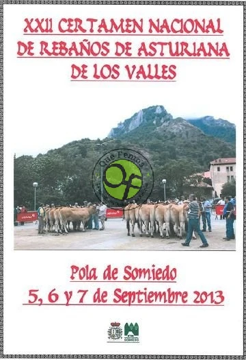 XXII Certamen Nacional de Rebaños de Asturiana de los Valles 2013
