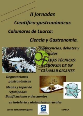 II Jornadas Científico-Gastronómicas de los Calamares de Luarca 2013