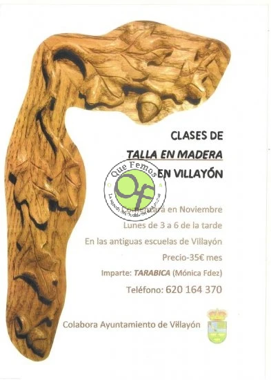 Clases de Talla en Madera en Villayón