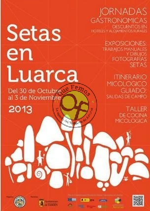 IX Jornadas de las setas en Luarca 2013