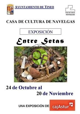 Exposición 