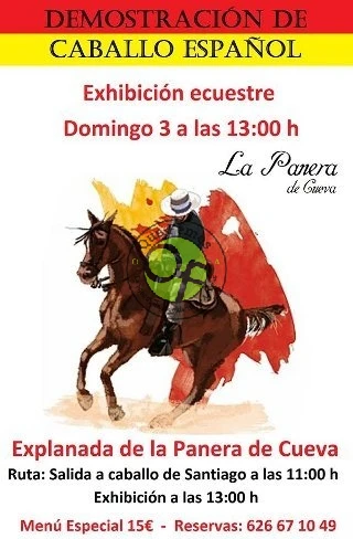 Exhibición ecuestre de caballo español en Cueva