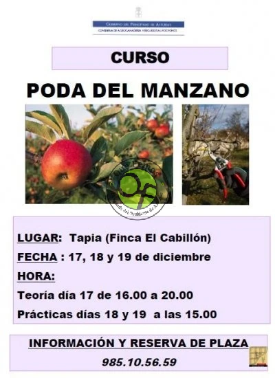Curso de poda del manzano en Tapia