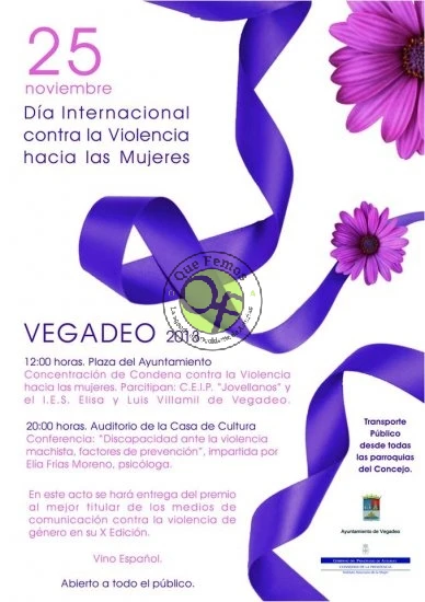 Día Internacional contra la Violencia de Género 2013 en Vegadeo