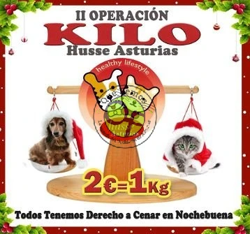 2ª Operación Kilo en favor de los animales abandonados 2013