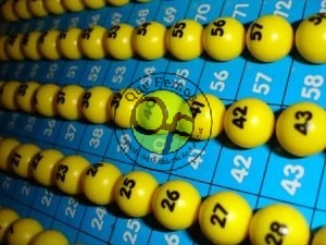 Jornada de Bingo en Figueras