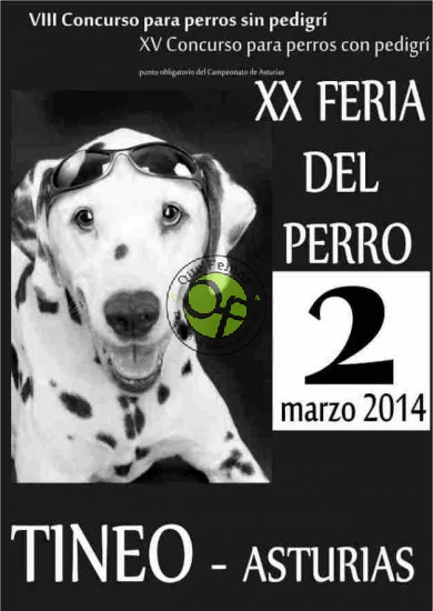 XX Feria del Perro 2014 en Tineo