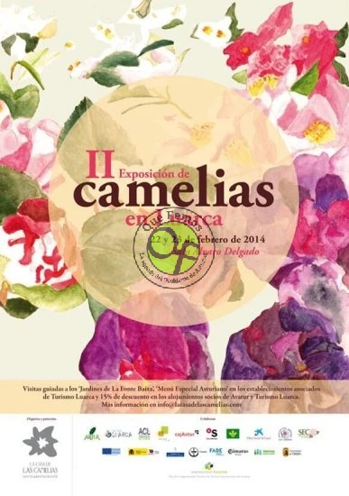 II Exposición de Camelias en Luarca 2014