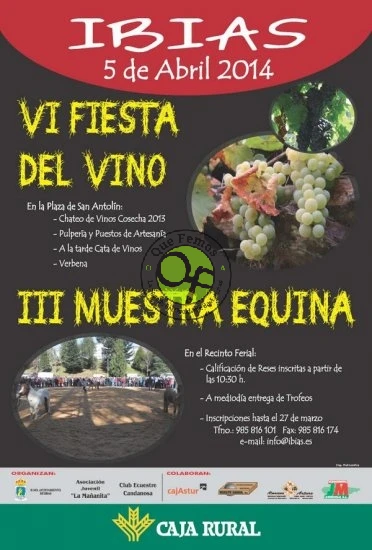 VI Fiesta del Vino y III Muestra Equina en Ibias 2014