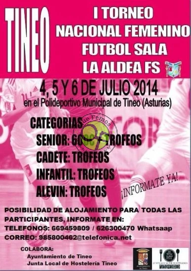 I Torneo Nacional Femenino La Aldea de Fútbol Sala 2014