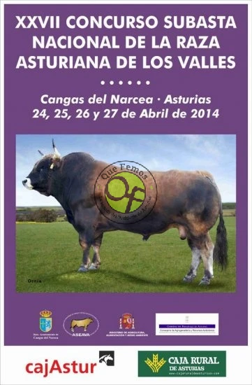 XXVII Concurso Subasta Nacional de la Raza Asturiana de los Valles