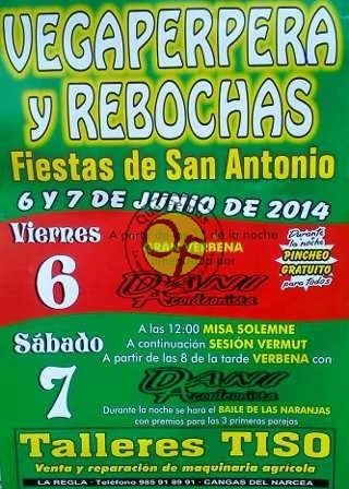 Fiestas de San Antonio en Vegaperpera y Rebochas 2014