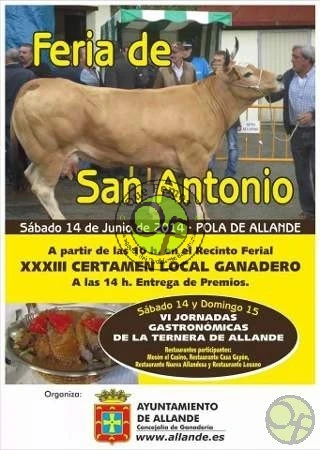 Feria de San Antonio en Pola de Allande 2014