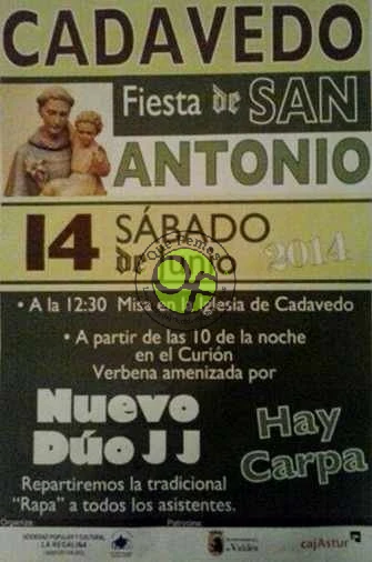 Fiesta de San Antonio 2014 en Cadavedo