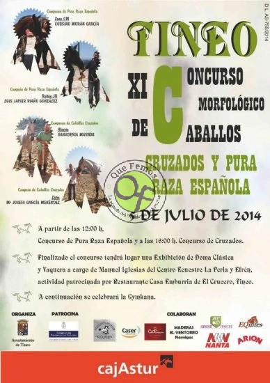XI Concurso Morfológico de Caballos Cruzados y Raza Española