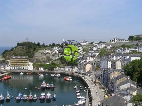 Exposición de María González en Luarca