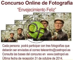 Concurso fotográfico online: 