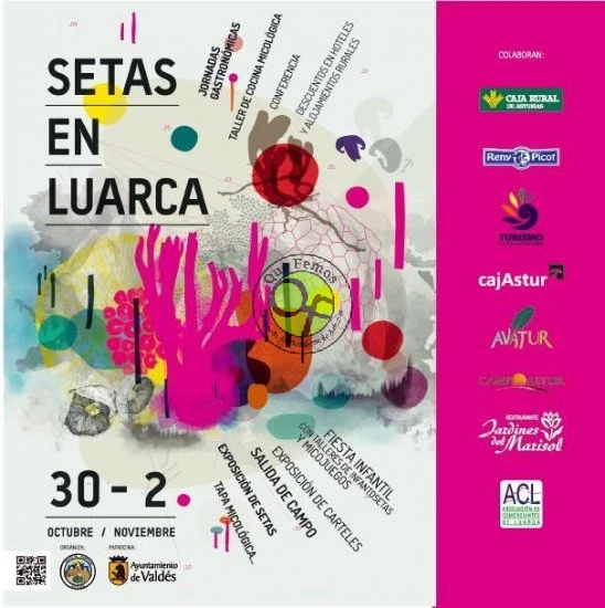 X Jornadas de las Setas en Luarca 2014